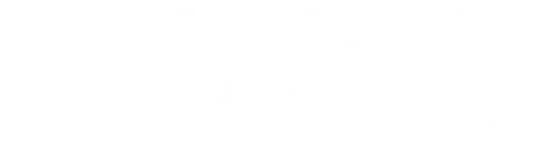 alohastore.it.com